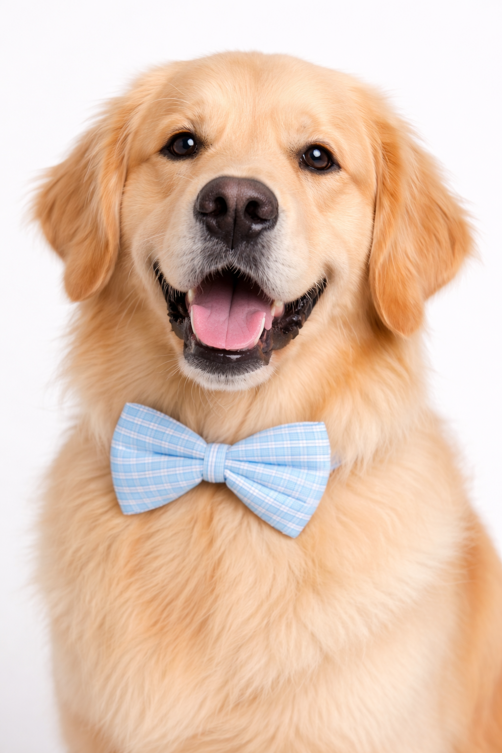 Dog Bow Blue Windowpane Check (Large)