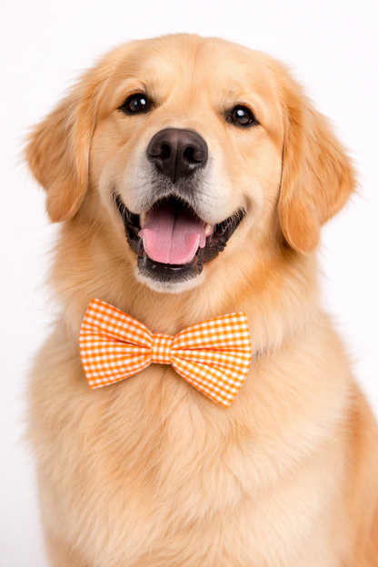 Dog Bow Orange Gingham (Large)