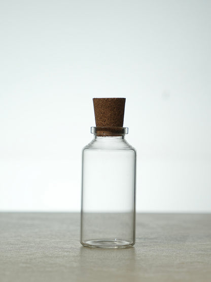 High Quality Glass Bottle With Cork Lid (100 ml); Set of 4