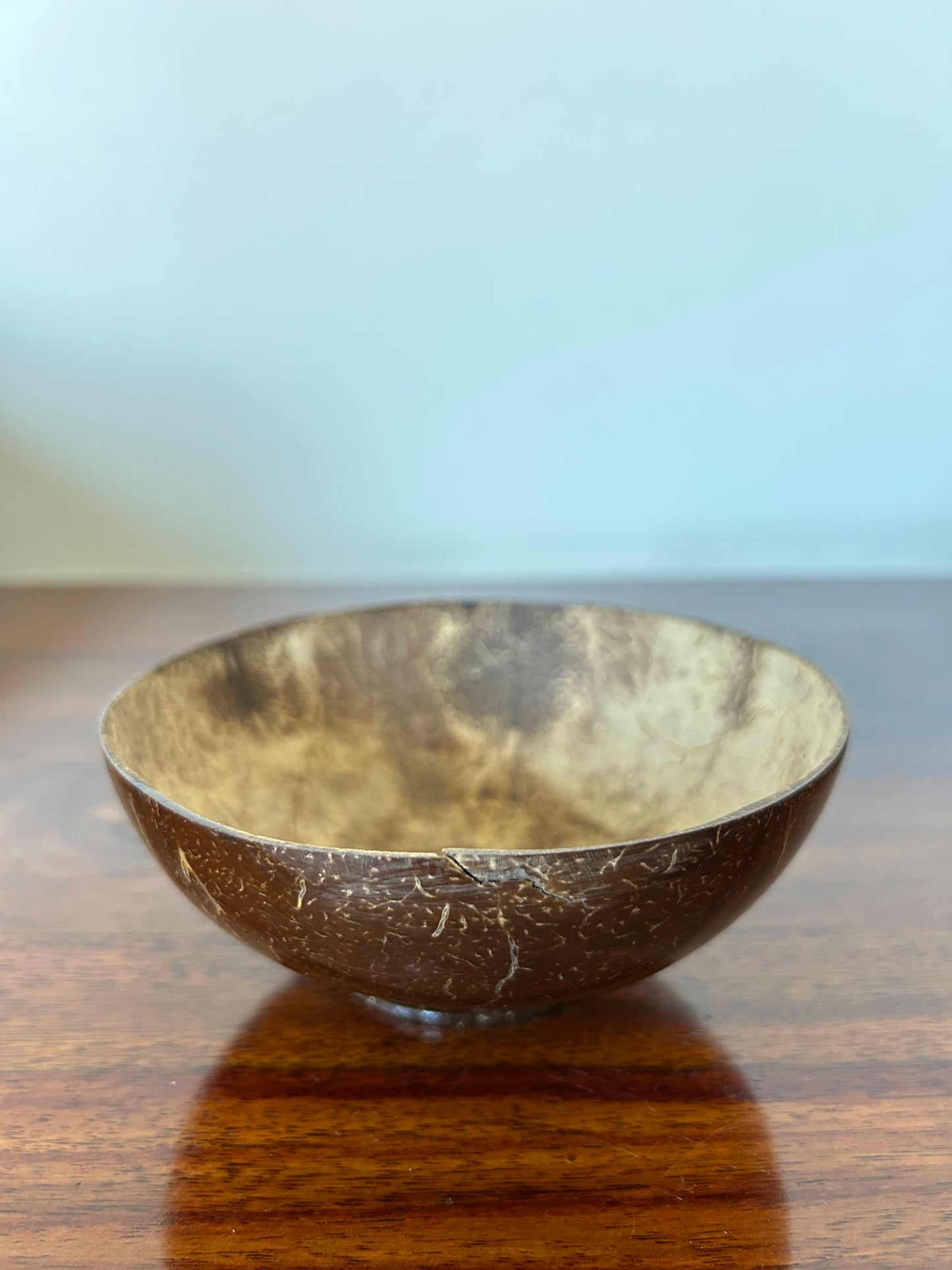 coconut shell  bowl