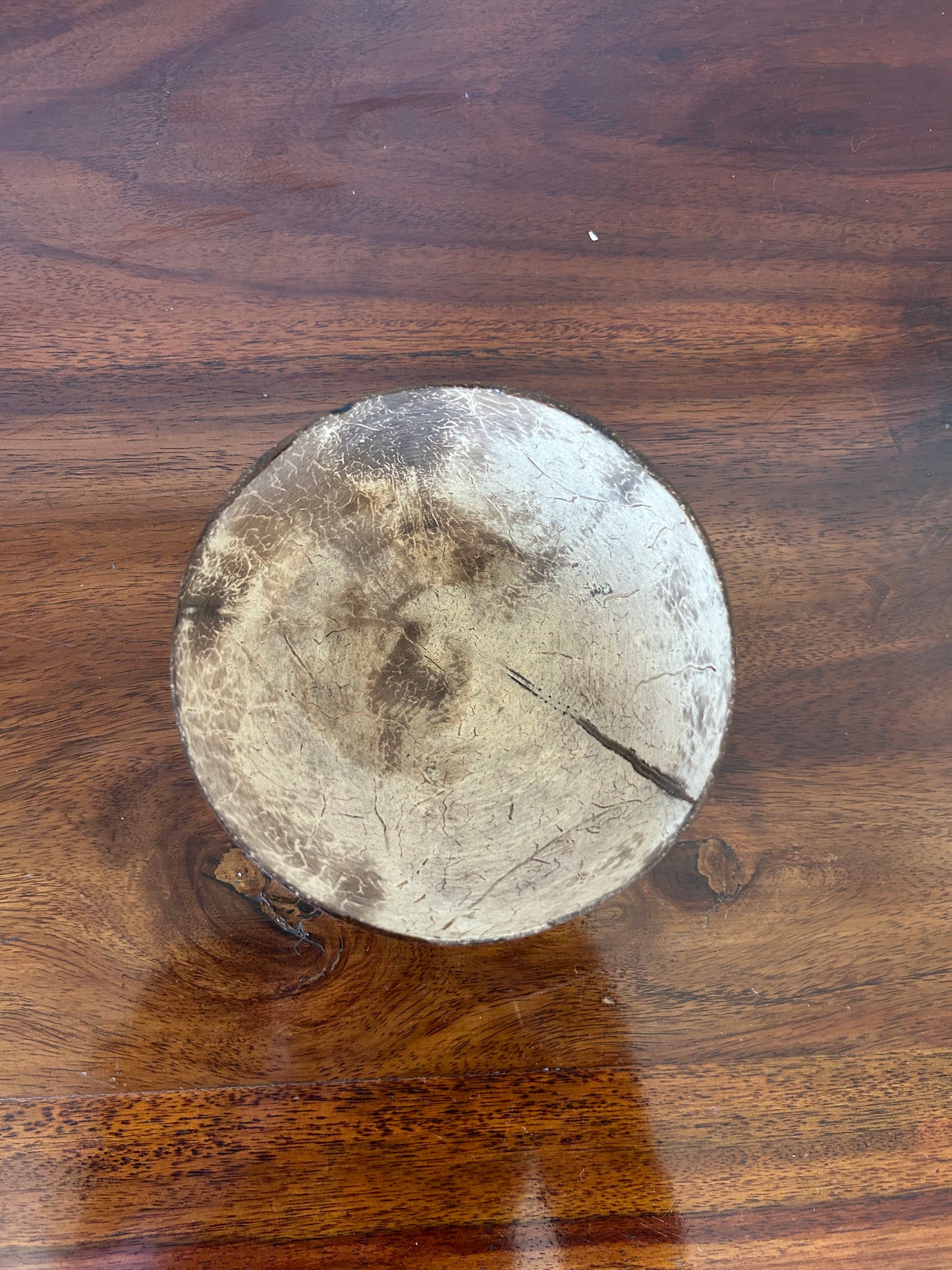 coconut shell  bowl