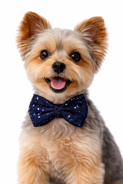 Blue velvet party bow (small)