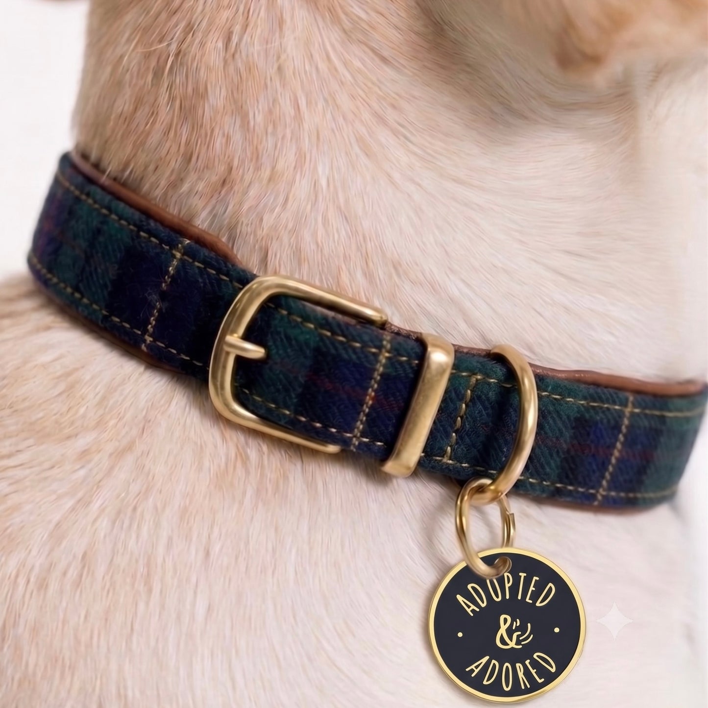 Adopted and Adored Pet Collar Charm-Dark Blue & Gold Enamel Medallion