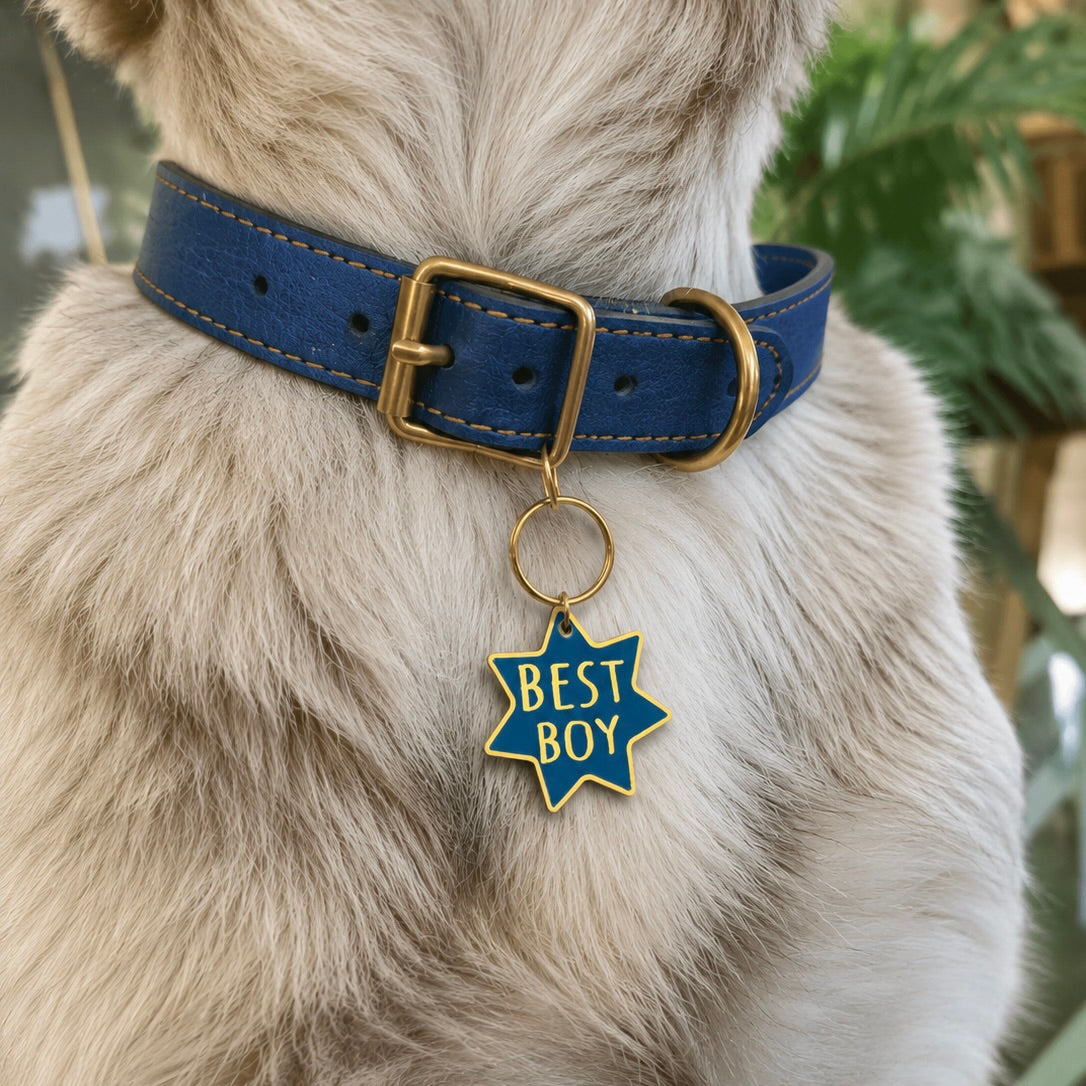 Best Boy Pet Collar Charm – Blue & Gold Enamel Medallion