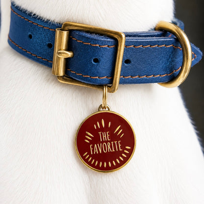 The Favorite Decorative Pet Collar Charm – Red & Gold Enamel Medallion