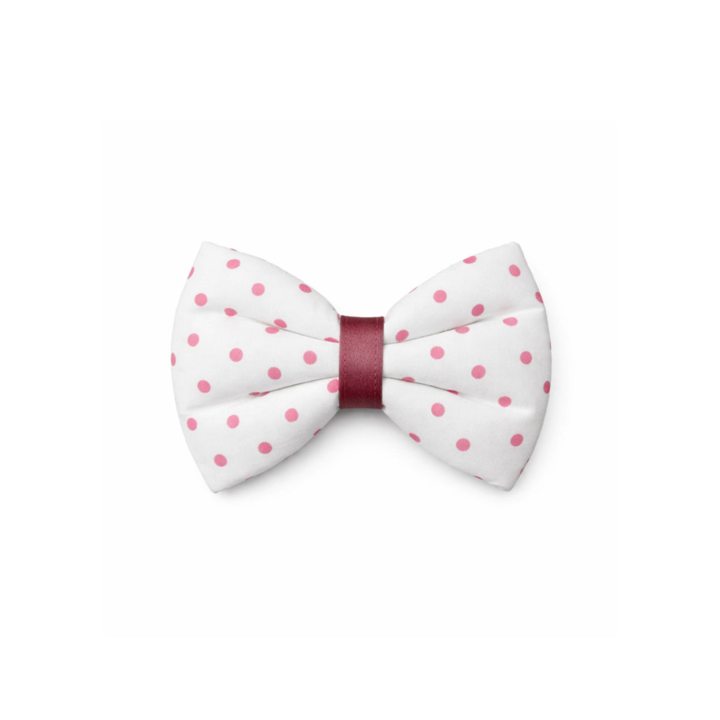 Cool polka dot bow (small)